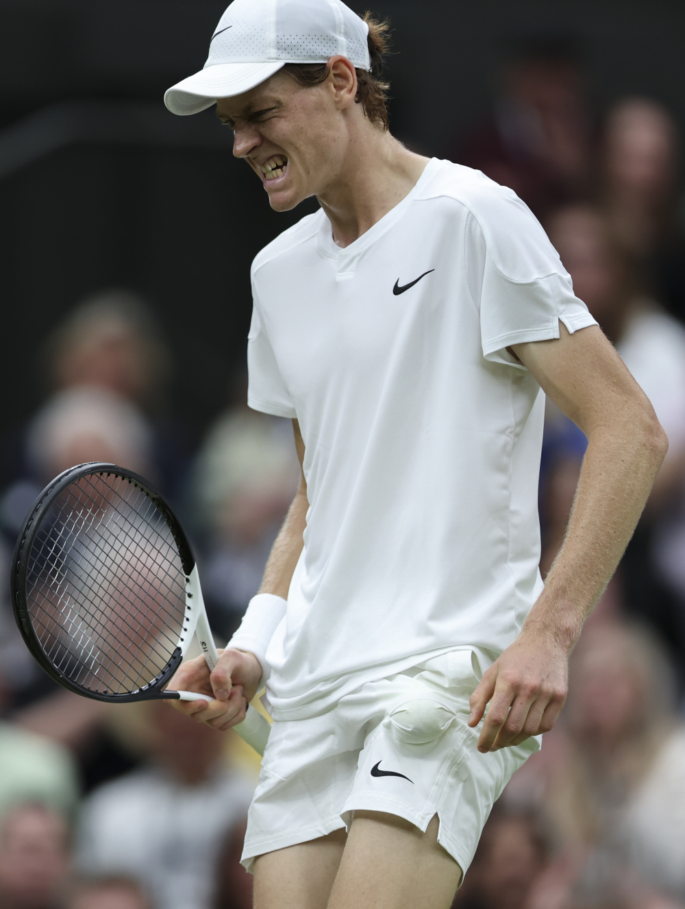 坚持不懈的 坚持不懈的