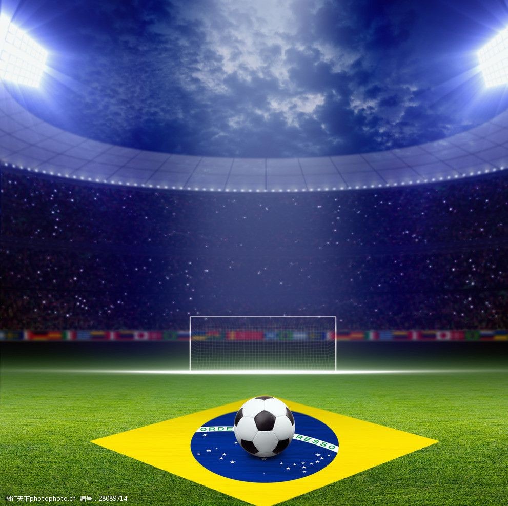 质的方法 质的方法